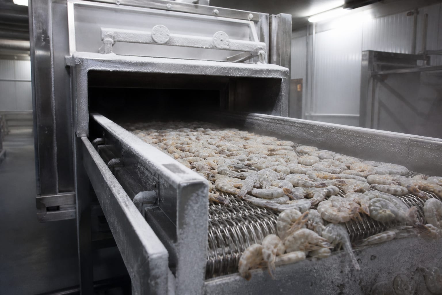 Blast freezer