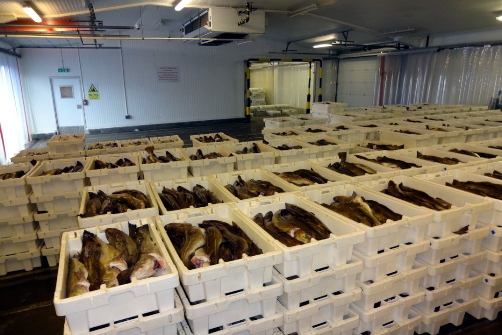 Fish cold store in Edinburgh
